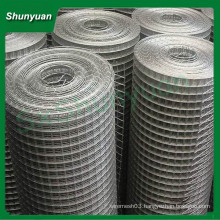 galvanized bird cage/ Welded Wire Mesh Panel/galvanized wire mesh